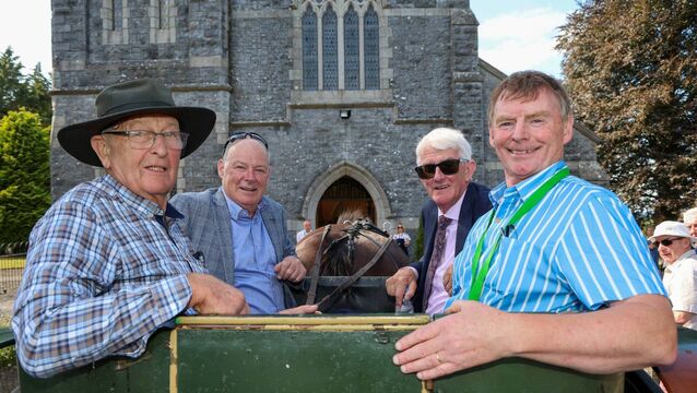 Sunny Laois village showcased for Pride of Place 