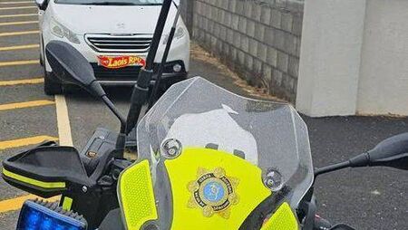 Driver does seven-point turn at Laois checkpoint