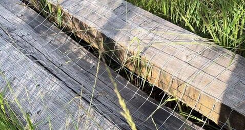 Serious damage at Abbeyleix Bog walk