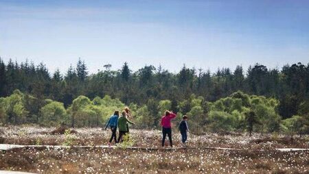 Youth camp in Laois for peat’s sake