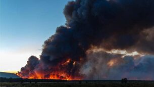 <p>A Gorse Fire</p>