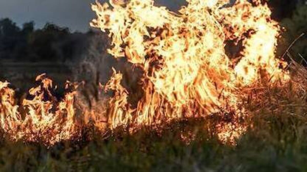 Fire crews battle major blaze in Mountmellick 