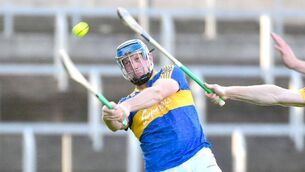 <p>Stephen Maher in action for Clough/Ballacolla 	 Photo: Denis Byrne</p>