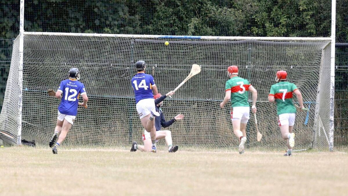 Dwyer’s double inspires Clough/Ballacolla comeback