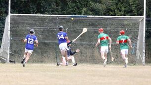 <p>Clough/Ballacolla's John Dwyer finds the back of the Rathdowney/Errill net in their PIHC game on Sunday Photo: David Maher</p>