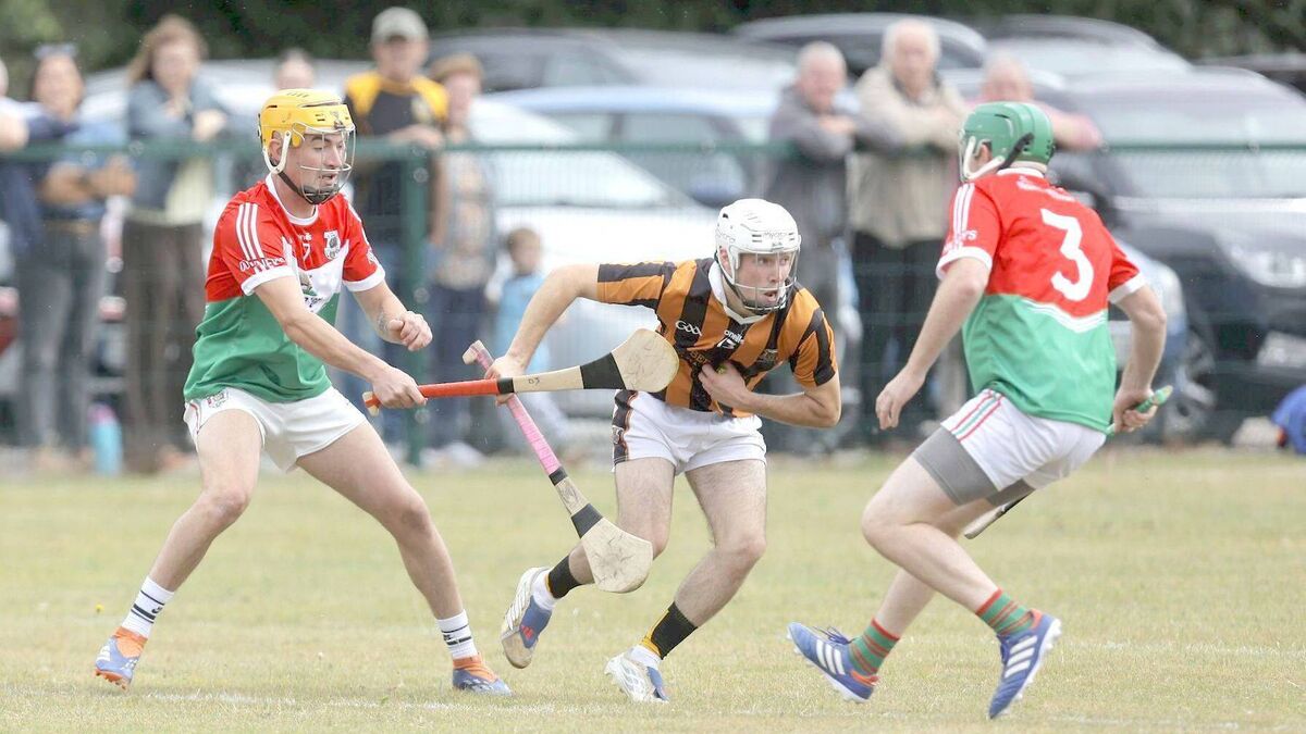 Camross continue perfect start with dominant display