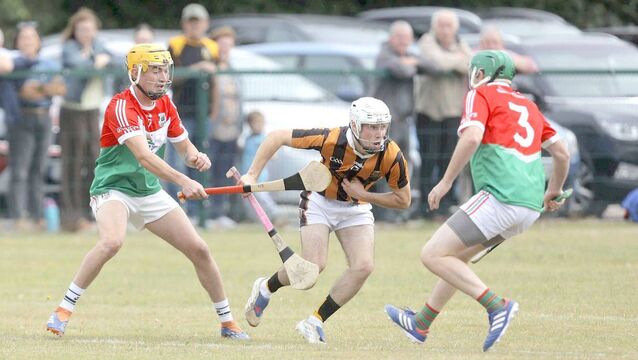 Camross continue perfect start with dominant display 
