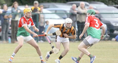 Camross continue perfect start with dominant display 