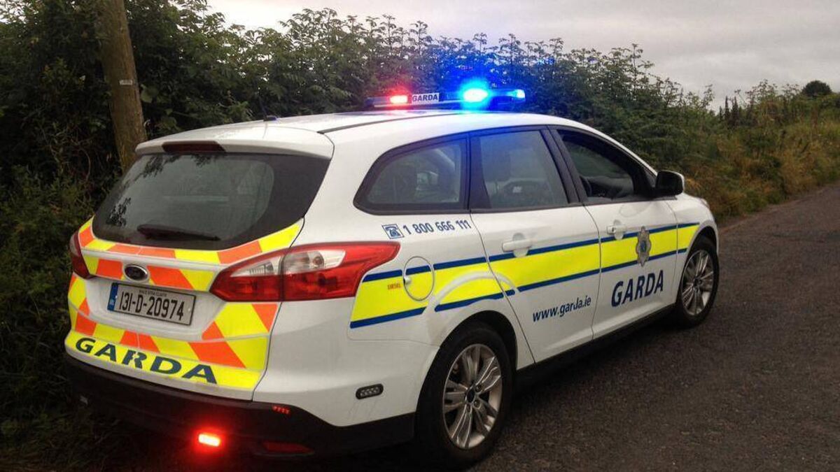 Hunt for driver who left elderly Laois couple seriously injured