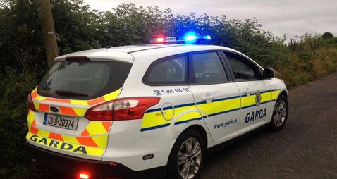 Hunt for driver who left elderly Laois couple seriously injured