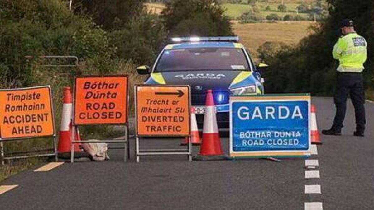Laois man jailed after crash that killed his uncle