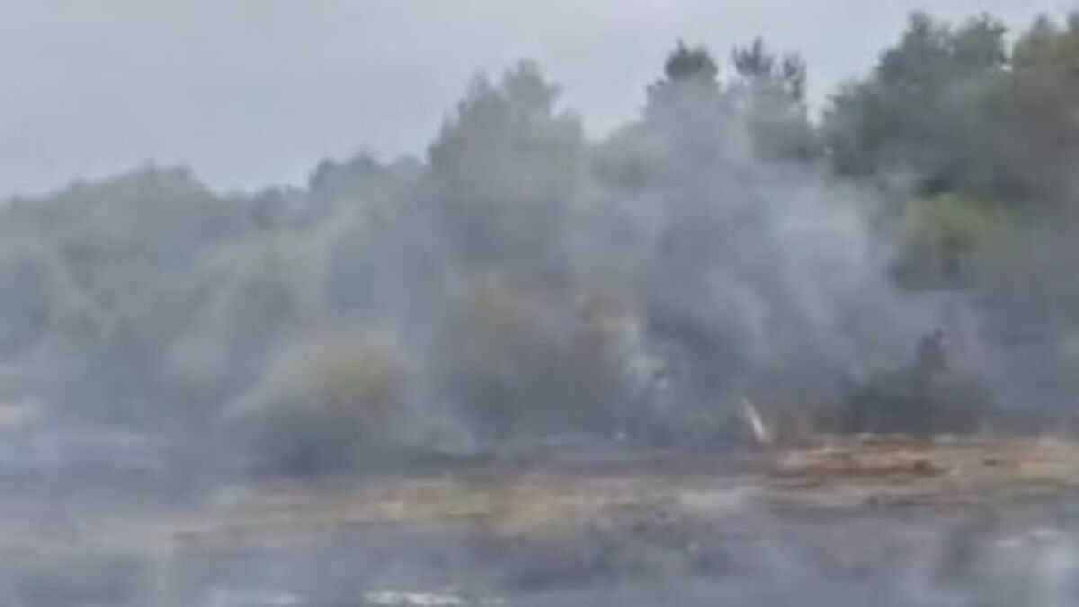 Fire crews battle bog blaze near Portlaoise