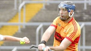 <p>Michael Lanigan was on fire for The Harps in their IHC win over Clough/Ballacolla on Thursday evening Photo: Denis Byrne</p>