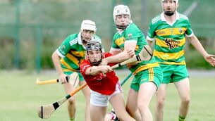 <p> Photo: David Maher</p> <p> Photo: David Maher</p>