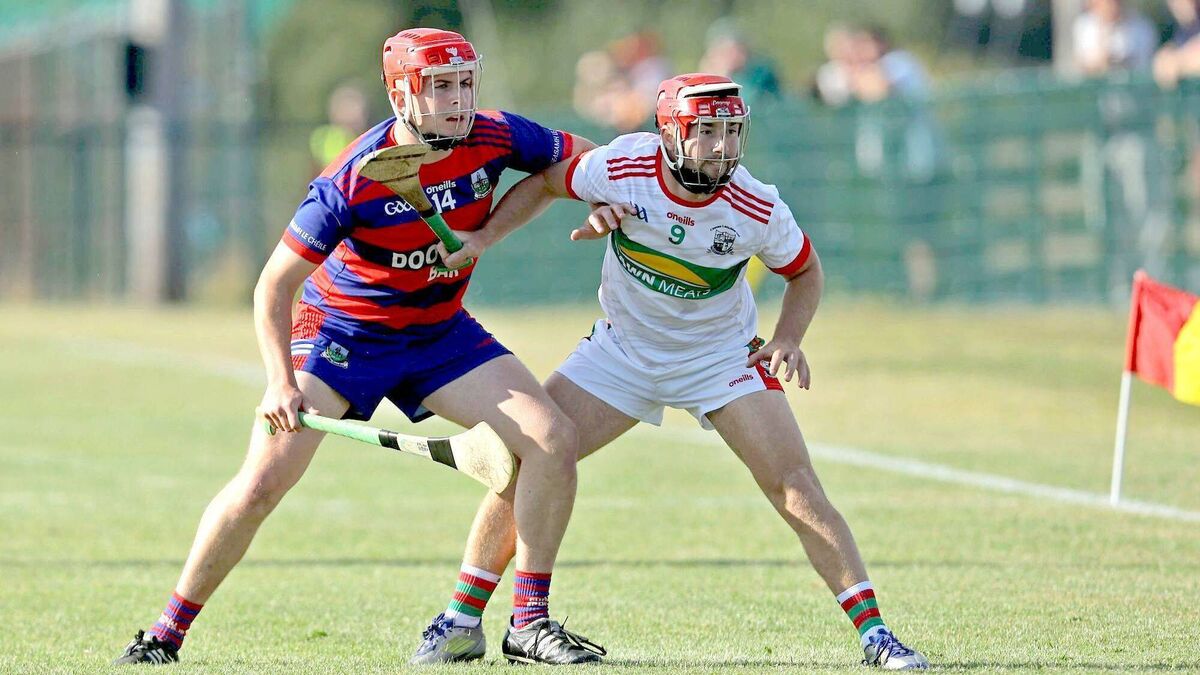 McDonald goal inspires Colt-Shanahoe into last right