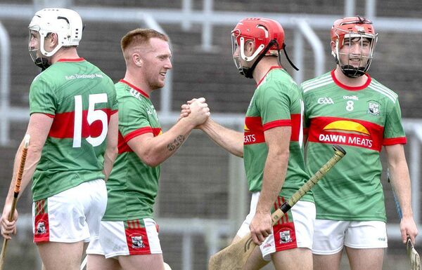 Rathdowney/Errill players show their relief after the SHC win over Portlaoise on Sunday Photo: Denis Byrne Rathdowney/Errill players show their relief after the SHC win over Portlaoise on Sunday Photo: Denis Byrne
