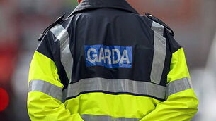 IFA calls for Government to support farmers facing fodder crisis IFA calls for Government to support farmers facing fodder crisis