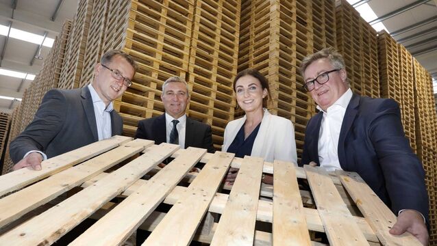 <p>Pictured: Mark Sheeran, managing director at CJ Sheeran Group and chairperson of Forest Industries Ireland, Ashleigh Doyle, director at CJ Sheeran Group, Minister of State at the Department of Agriculture, Food and the Marine with special responsibility for Forestry, Farm Safety and Horticulture Niall Collins TD, and Fergal Moran, business development director at CJ Sheeran Group. Photograph by Mark Stedman.</p>