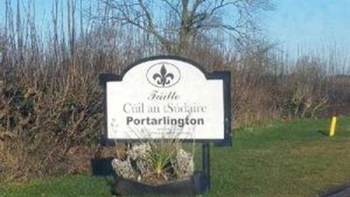 New housing development proposed for elderly people in Laois town 
