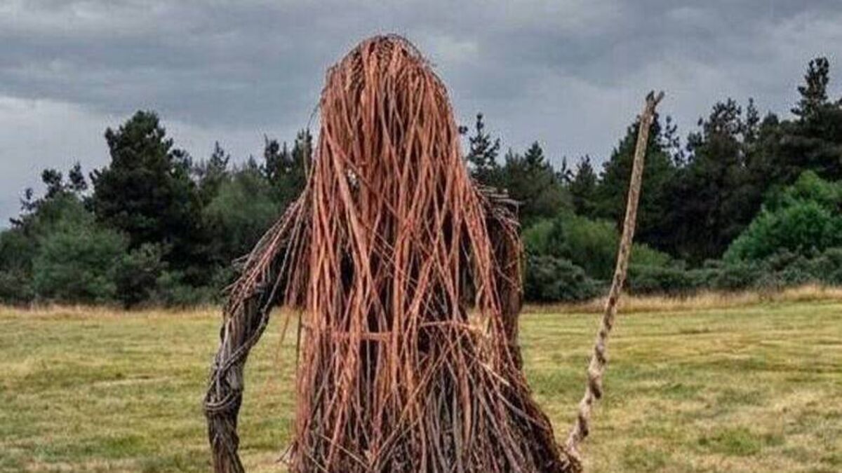 Majestic new Guardian for the Slieve Blooms 