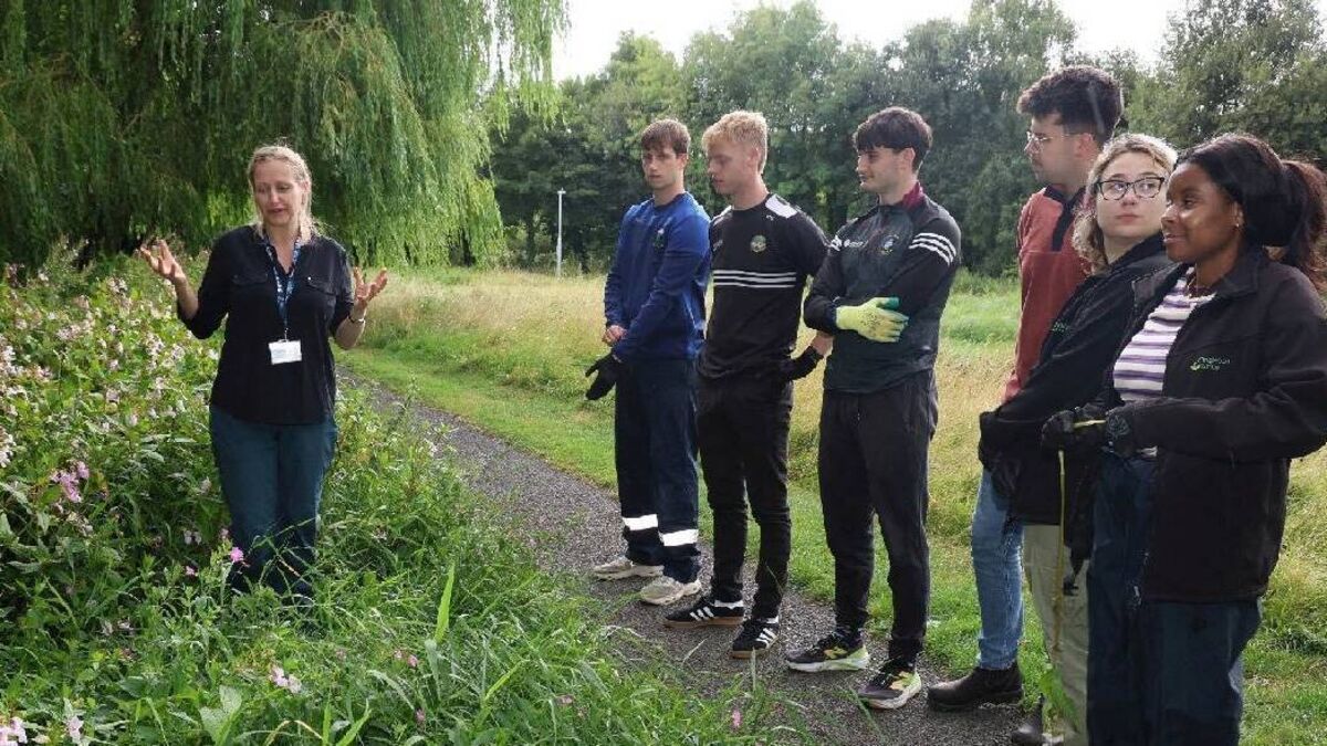 Volunteers tackle invasive alien in Portlaoise!