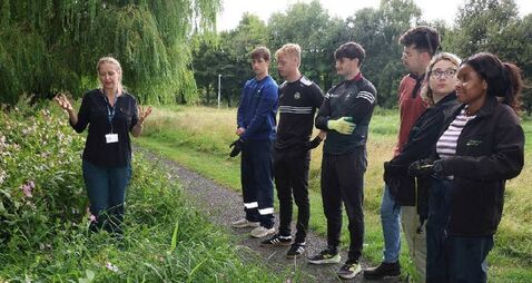 Volunteers tackle invasive alien in Portlaoise!