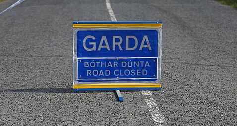 Woman (20s) dies in single-vehicle crash in Dublin