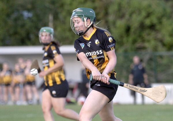 Donnagh Moritmer (Camross) in action in their Intermediate Championship win over The Harps Photo: Denis Byrne Donnagh Moritmer (Camross) in action in their Intermediate Championship win over The Harps Photo: Denis Byrne