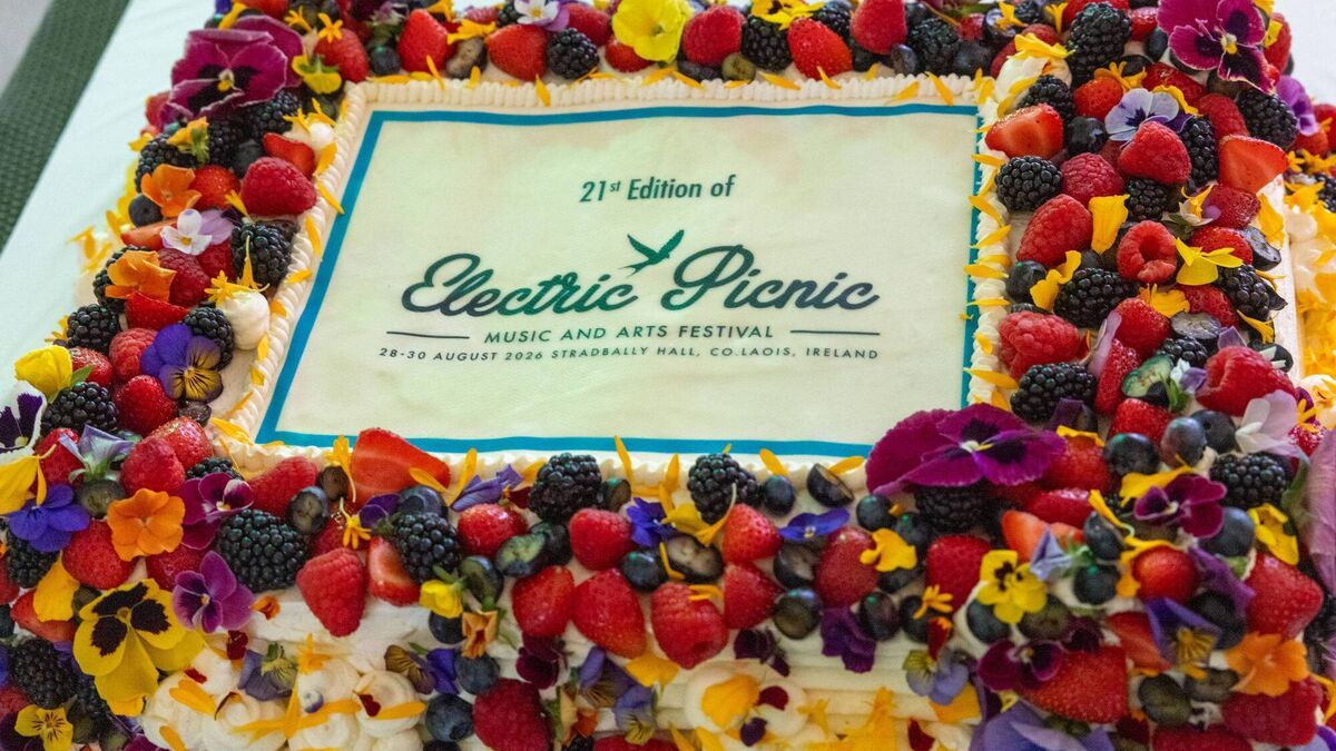A sneak peek ahead of Electric Picnic as festival celebrates 21 years