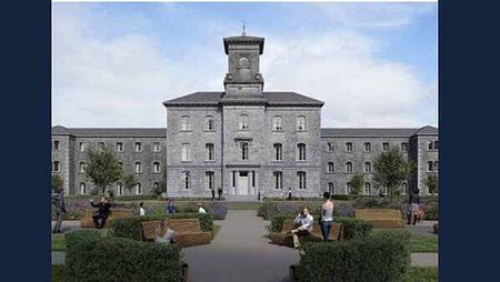 Plans to renovate psychiatric hospital stalled due to concerns over bat disturbance