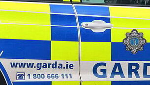 Man (60s) seriously injured in single-car crash