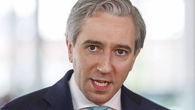 Tánaiste to represent EU at G20 finance ministers meeting in US