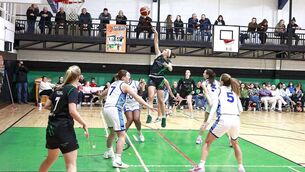 <p>Alyssa Velles in action for Portlaoise Panthers against Waterford Wildcats last season Photo: David Maher</p> <p>Alyssa Velles in action for Portlaoise Panthers against Waterford Wildcats last season Photo: David Maher</p>