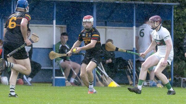 Conor Fitzpatrick (Park/Ratheniska-Timahoe) about to play this sliotar in their JHC semi-final defeat of Portlaoise 	Photo: Denis Byrne