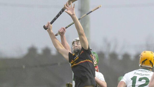 Cunningham fires Park/Ratheniska-Timahoe past Portlaoise and into Junior hurling final