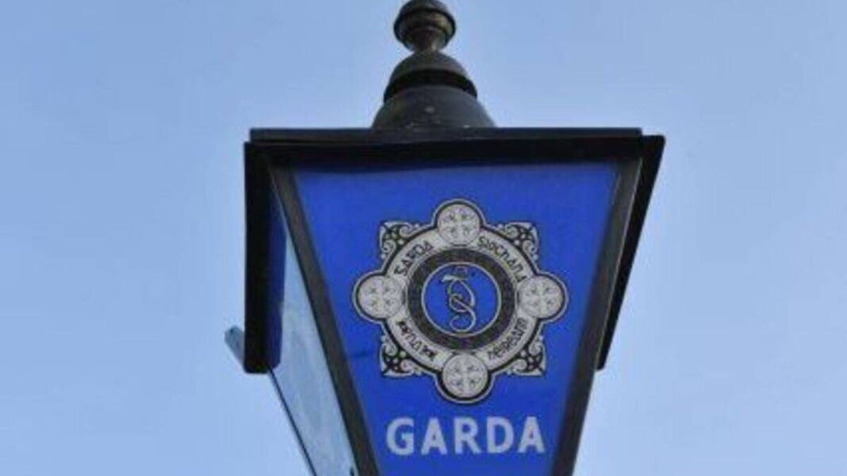 Laois gardaí involved in major drug seizure at location in the county  