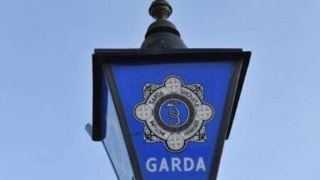 Laois gardaí involved in major drug seizure at location in the county  
