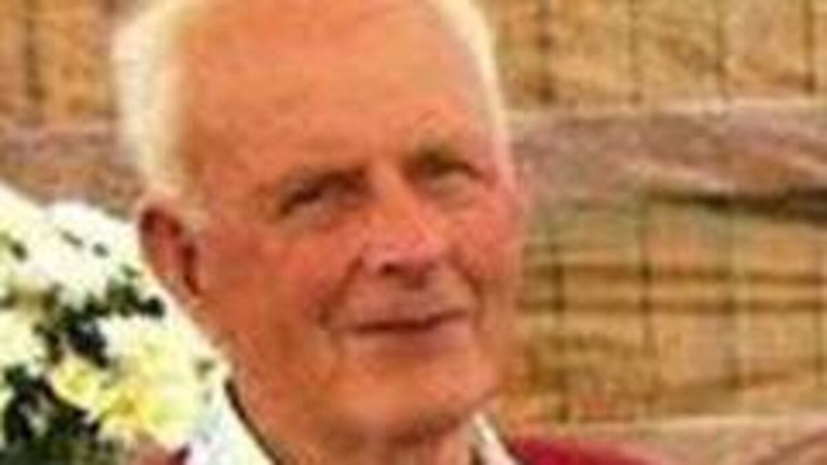 Laois death notice: Harry Whelan, Borris-in-Ossory