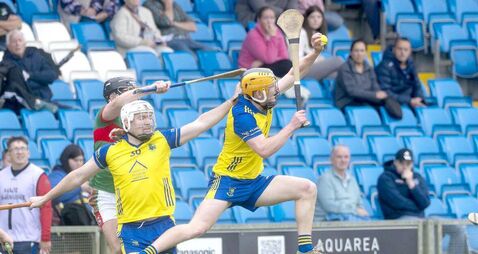Abbeyleix leave their best form until when it mattered most and condemn Rathdowney/Errill