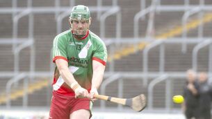 <p>Neil Foyle (Borris/Kilcotton) firing this sliotar on goal in their Senior Championship win over Rosenallis on Sunday Photo: Denis Byrne</p> <p>Neil Foyle (Borris/Kilcotton) firing this sliotar on goal in their Senior Championship win over Rosenallis on Sunday Photo: Denis Byrne</p>