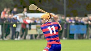 <p>Colt-Shanahoe's James Keyes going for a score in their PIHC quarter-final win over Clonad 	 Photo: David Maher</p>