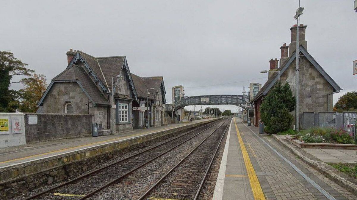 Man engaged in lewd behaviour in front of passengers on Laois train
