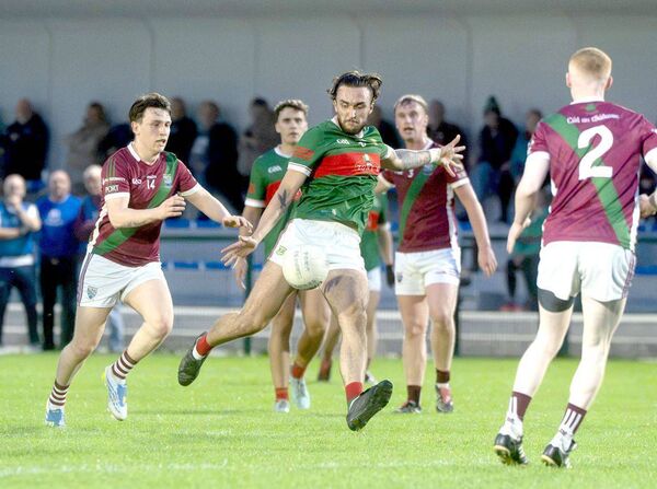 Oisin Harte (Graiguecullen) playing for a score on Wednesday night Photo: Denis Byrne Oisin Harte (Graiguecullen) playing for a score on Wednesday night Photo: Denis Byrne