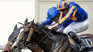 <p>Scandinavia and Ryan Moore defeats Trawlerman and William Buick in the Ascot Gold Cup in June. Scandinavia is one of the star attractions on a day of high quality racing at the Curragh on Sunday Photo: Edward Whitaker</p> <p>Scandinavia and Ryan Moore defeats Trawlerman and William Buick in the Ascot Gold Cup in June. Scandinavia is one of the star attractions on a day of high quality racing at the Curragh on Sunday Photo: Edward Whitaker</p>