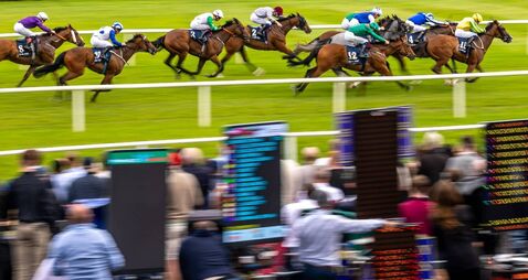Holohan enjoys breakthrough moment as Hotazhell steals the show on Champions Weekend's day one