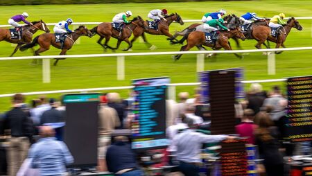 Holohan enjoys breakthrough moment as Hotazhell steals the show on Champions Weekend's day one