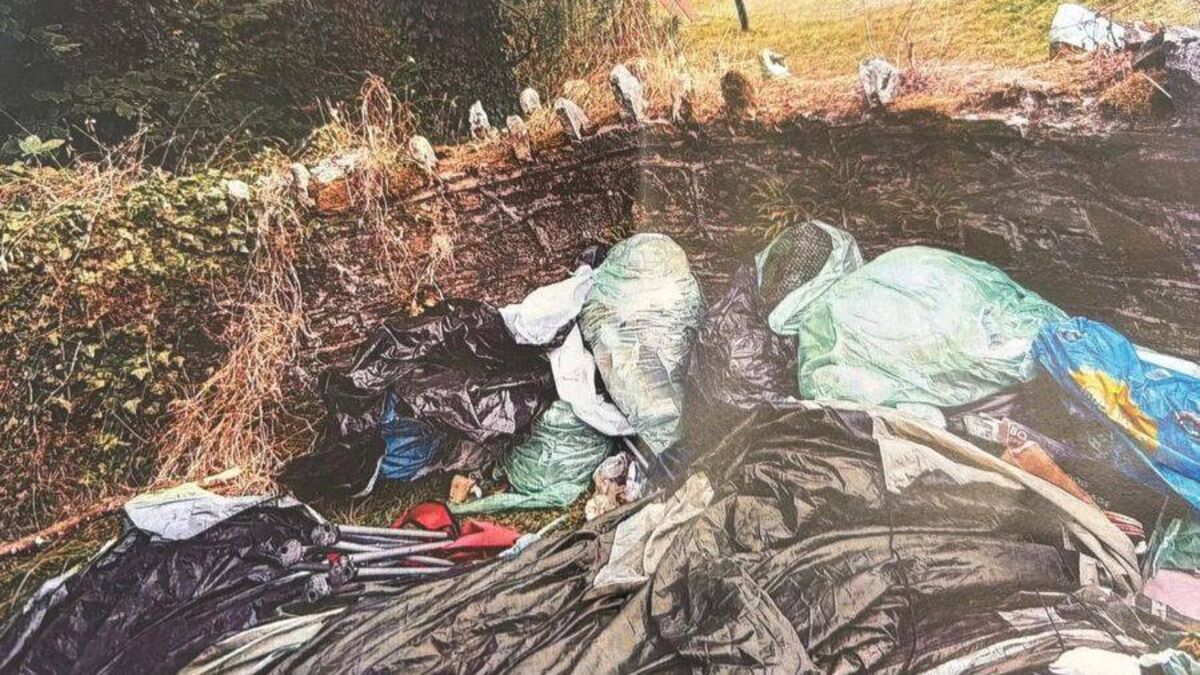 Councillors advocate for smart street bin for Laois tourism site