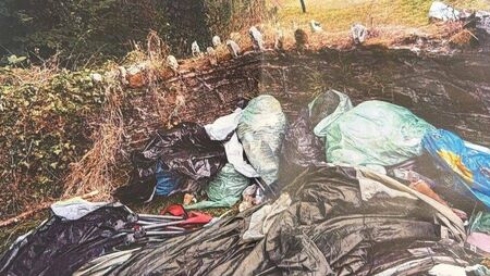 Councillors advocate for smart street bin for Laois tourism site 