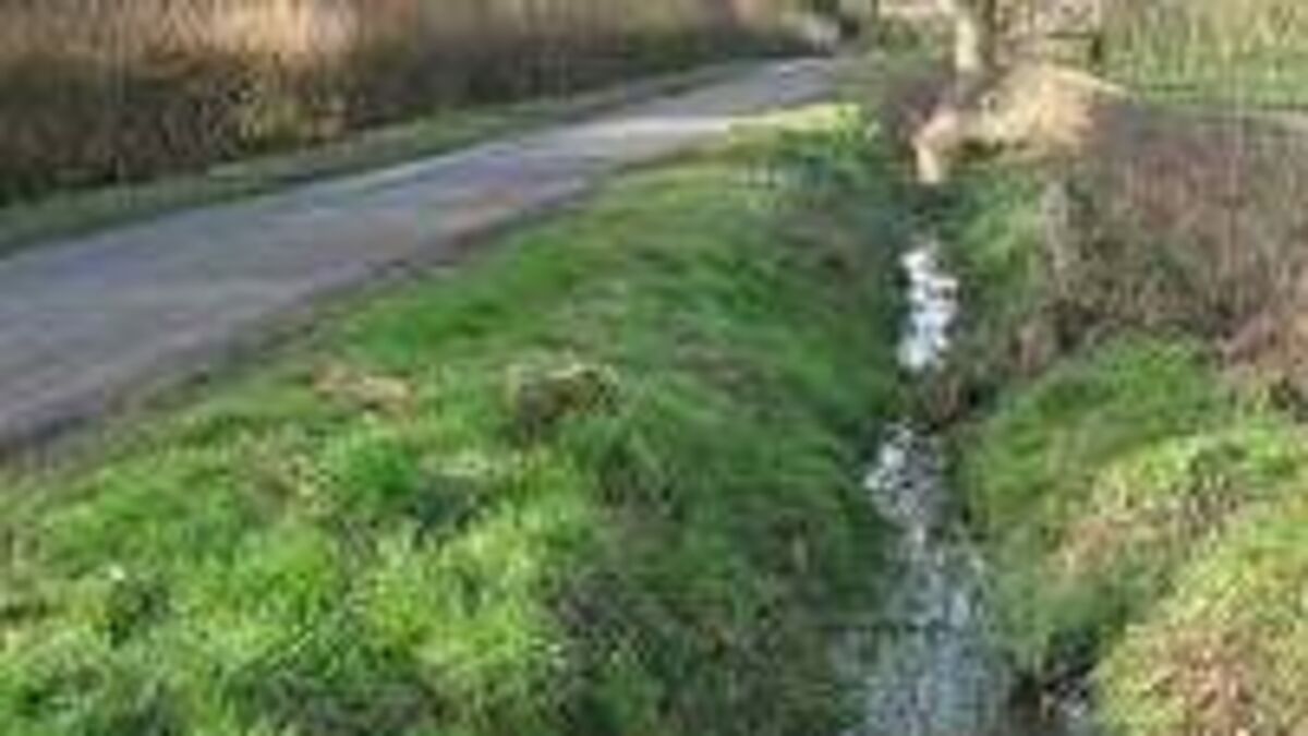 Drain along Laois roadway described as a danger to motorists 