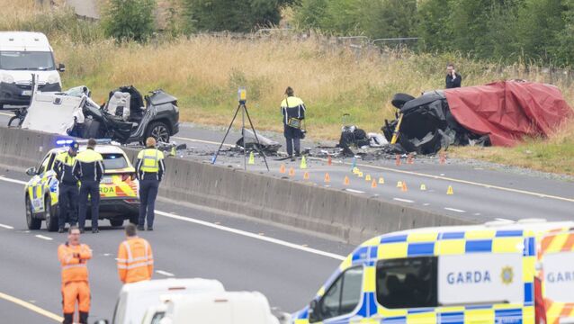 <p>The scene of the M9 fatal collision last month Photo: Aisling Hyland</p>